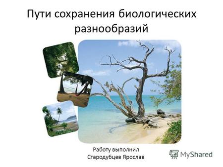 Пути сохранения биологических разнообразий Работу выполнил Стародубцев Ярослав.