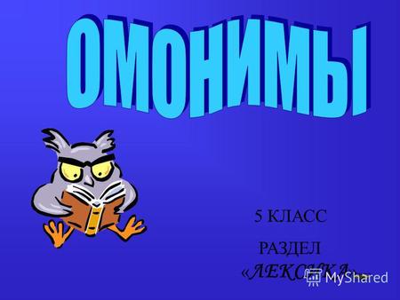 Презентация к уроку по русскому языку (5 класс) по теме: Омонимы