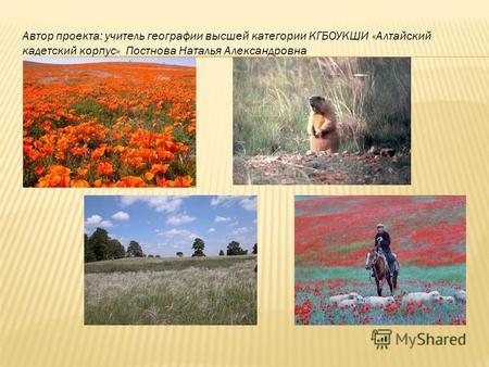 Презентация к уроку по географии (8 класс) на тему: Презентация Лесостепи  и степи России