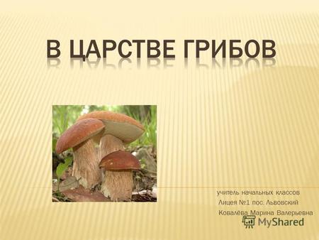 Презентация к уроку по окружающему миру (3 класс) по теме: Презентация В царстве грибов,окружающий мир 3 класс