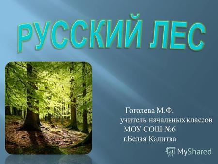 Презентация к уроку по окружающему миру (1 класс) по теме: Презентация Русский лес. Окружающий мир 1класс.
