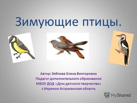 Презентация к занятию по окружающему миру (средняя группа) по теме: Зимующие птицы Презентация.