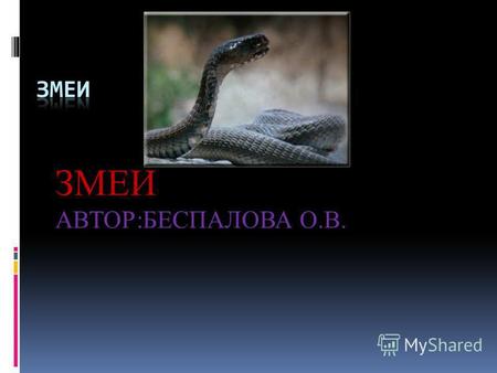 Презентация к уроку по биологии (7 класс) на тему: змеи