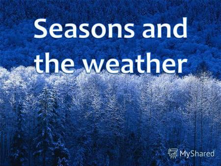 There are four seasons in the year. They are: winter.