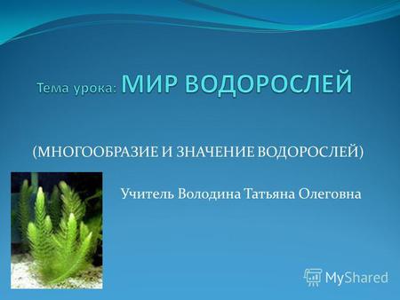 Презентация к уроку по биологии (7 класс) на тему: презентация к уроку Мир водорослей