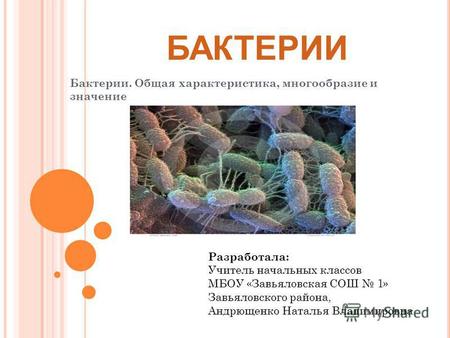 Презентация к уроку по окружающему миру (3 класс) по теме: Презентация по ОМ 3 класс Тема: Царство бактерий