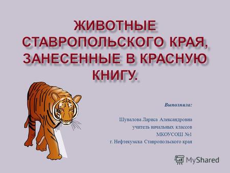 Презентация к уроку по окружающему миру (3 класс) по теме: Презентация Животные Ставропольского края, занесенные в Красную Книгу.