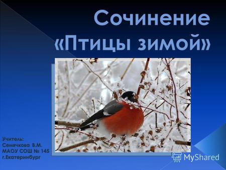 Презентация к уроку по русскому языку (2 класс) по теме: Обучающее сочинение Птицы зимой, 2 класс