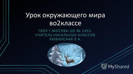 Презентация к уроку по окружающему миру (2 класс) на тему: Невидимые нити в зимнем лесу.