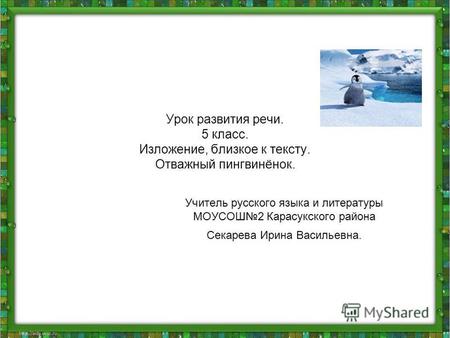 Презентация к уроку по русскому языку (5 класс) по теме: Презентация к уроку развития речи. Изложение Отважный пингвиненок
