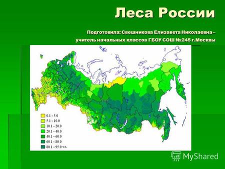Презентация к уроку по окружающему миру (4 класс) по теме: Презентация на тему Леса России
