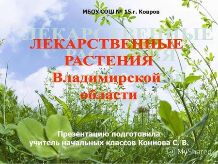 Презентация к уроку по окружающему миру (2 класс) по теме: Презентация Лекарственные растения Владимирской области.