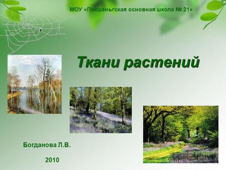 Ткани растений МОУ «Покшеньгская основная школа 21» Богданова Л.В. 2010.