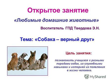 Презентация к уроку (2 класс) по теме: Любимые домашние животные. Собака верный друг.