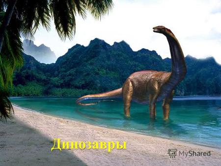 Динозавры Динозавры. Давным-давно, ещё до появления людей, на Земле господствовали удивительные существа – динозавры. Они были похожи на сказочных драконов,