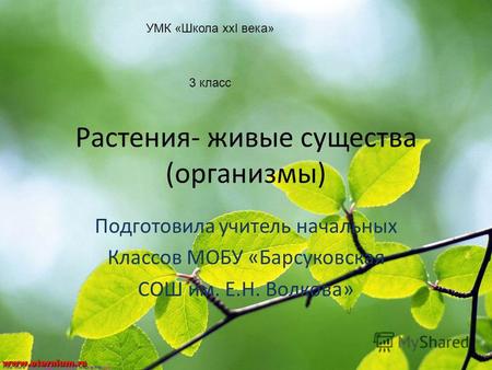 Презентация к уроку по окружающему миру (3 класс) по теме: Растения живые существа (организмы)