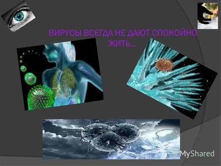 Презентация по биологии (10 класс) на тему :Вирусы