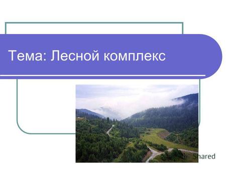 Презентация к уроку по географии (9 класс) на тему: Лесной комплекс