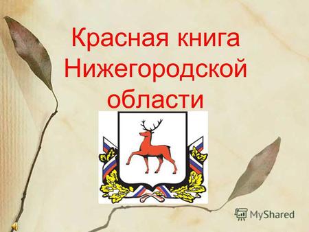Презентация к уроку по окружающему миру (3 класс) по теме: Животные Красной книги Нижегородской области