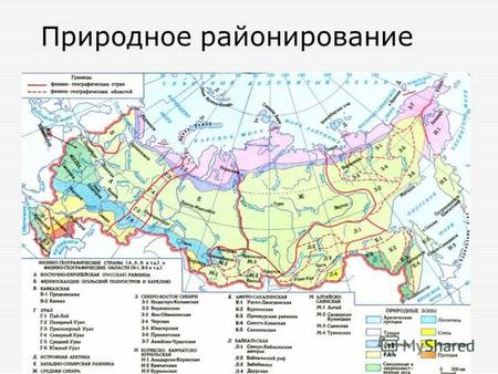 Презентация к уроку по географии (8 класс) на тему: 8 класс. Природное районирование России