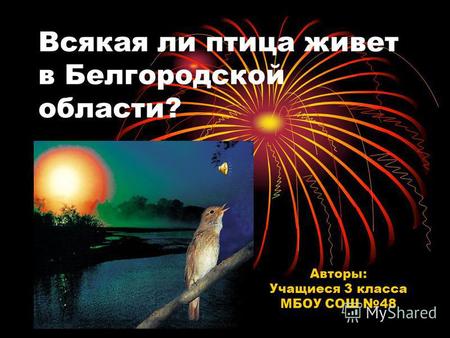 Всякая ли птица живет в Белгородской области? Авторы: Учащиеся 3 класса МБОУ СОШ 48.