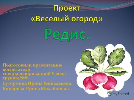 Подготовили презентацию воспитатели специализированной V вида группы 8: Сутормина Ирина Геннадьевна, Комарова Ирина Михайловна.