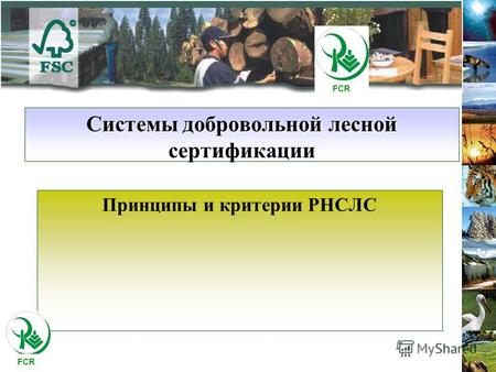 Системы добровольной лесной сертификации Принципы и критерии РНСЛС FCR.