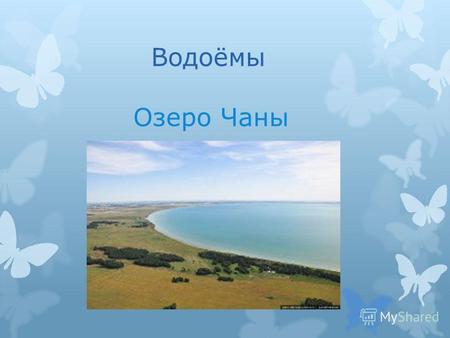 Водоёмы Озеро Чаны. Чаны Бессточное солёное озеро в России, расположенное в Барабинской низменности на территории Новосибирской области, самое крупное.