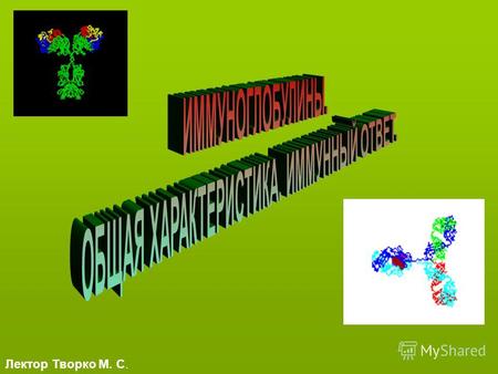 Лектор Творко М. С.. План лекции 1. Принципиальное строение антител- иммуноглобулинов 1. Принципиальное строение антител- иммуноглобулинов 2. Основные.