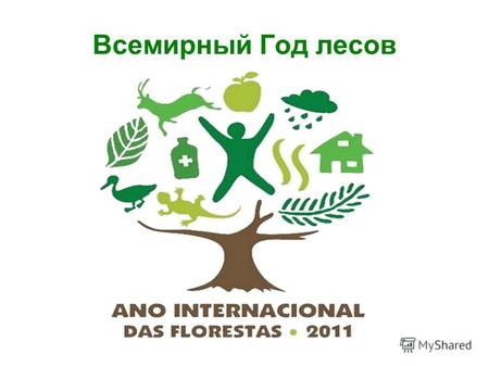 Всемирный Год лесов. 2011 год по решению ООН объявлен Всемирным Годом лесов Научная библиотека КузГПА. Абонемент ЕГФ.