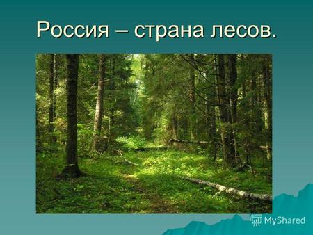 Россия – страна лесов.. Большая часть территории России расположена в зоне лесов.