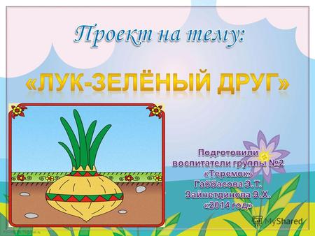 FokinaLida.75@mail.ru. Проблема: Как можно вырастить зелёный лук на подоконнике? Чем может быть полезен лук? Что можно делать с луком? Исследование полезных.