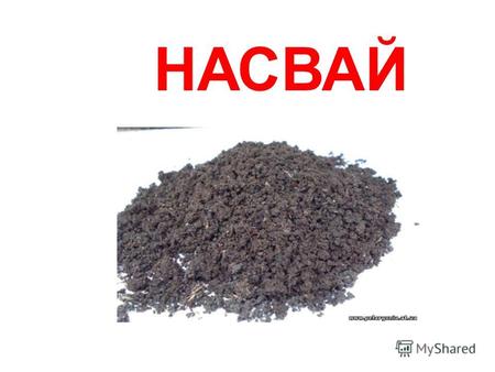 НАСВАЙ Насвай Насвай (насыбай, нас, нац, нос, айс, нацик) вид не курительного табачного изделия, традиционный для Центральной Азии. Основными составляющими.