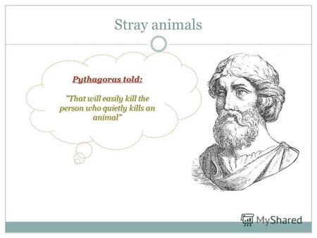 Stray animals Pythagoras told: That will easily kill the person who quietly kills an animal