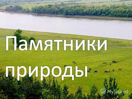 На Русской равнине есть интересные места, притягивающие путешественников. Такие как Карелия, Валдай, Волга, Селигер и т. д. На Русской равнине есть интересные.