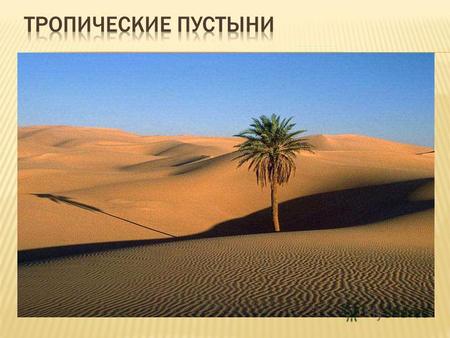 Сахара Калахари Намиб Сахара величайшая из пустынь мира. Со словом Сахара связаны образы бесконечных, пышущих жаром песчаных барханов с очень редкими.
