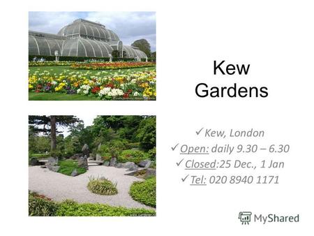 Kew Gardens Kew, London Open: daily 9.30 – 6.30 Closed:25 Dec., 1 Jan Tel: 020 8940 1171.