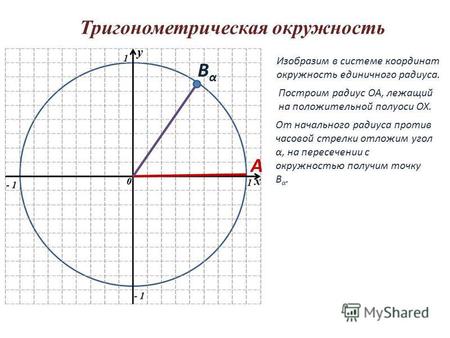 Тригонометрическая окружность y 0 1 1 - 1 y 0 x Изобразим в системе координат окружность единичного радиуса. Построим радиус ОА, лежащий на положительной.