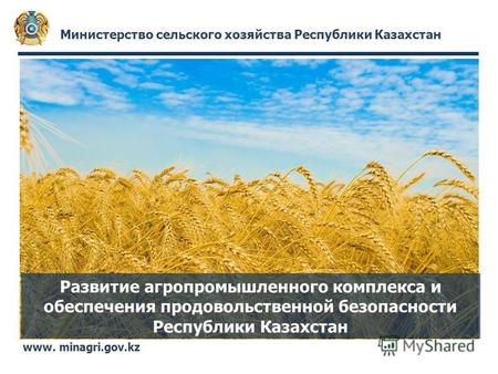 Министерство сельского хозяйства Республики Казахстан www. minagri.gov.kz Развитие агропромышленного комплекса и обеспечения продовольственной безопасности.