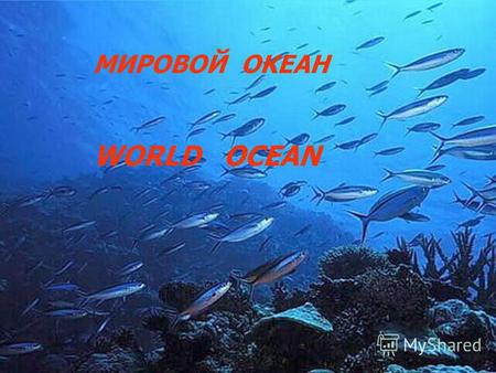 МИРОВОЙ ОКЕАН WORLD OCEAN. Вода - второе по важности вещество на Земле, после кислорода. Без воды, человек может прожить всего три дня. Во взрослом человеке.