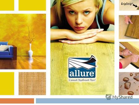 Содержание презентации О продукте Состав покрытия Свойства Выгоды для партнеров Allure Референц-лист.