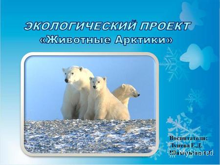 Воспитатели: Лунева Е.Д. Шахбанова А.С.. Актуальность: В настоящее время стоит очень остро вопрос о сохранении популяции белых медведей. Из-за глобального.