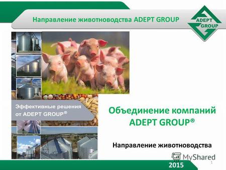 Объединение компаний ADEPT GROUP® Направление животноводства 2015 1 Направление животноводства ADEPT GROUP.