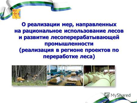 О реализации мер, направленных на рациональное использование лесов и развитие лесоперерабатывающей промышленности (реализация в регионе проектов по переработке.