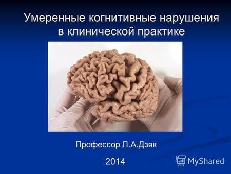 Умеренные когнитивные нарушения в клинической практике Профессор Л.А.Дзяк 2014.