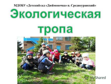 МДОБУ «Детский сад «Дюймовочка» п. Среднеуранский»