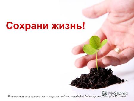 Сохрани жизнь! В презентации использованы материалы сайта www.OrthoMed.ru (фото Леннарда Нилсона)