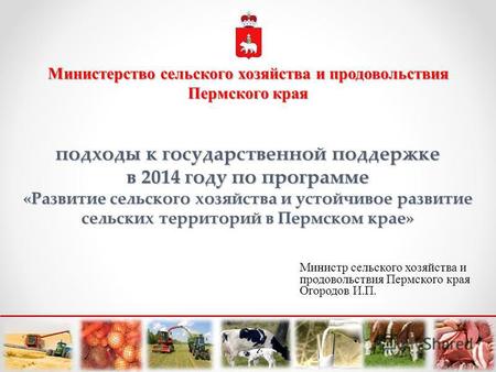 Подходы к государственной поддержке в 2014 году по программе «Развитие сельского хозяйства и устойчивое развитие сельских территорий в Пермском крае» Министр.