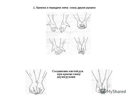1. Приема и передачи мяча снизу двумя руками Соединение кистей рук при приеме снизу двумя руками.