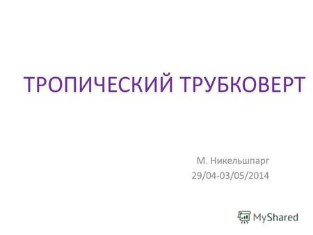 ТРОПИЧЕСКИЙ ТРУБКОВЕРТ М. Никельшпарг 29/04-03/05/2014.